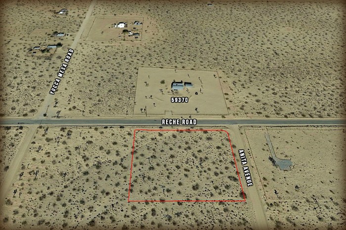 Anita Avenue